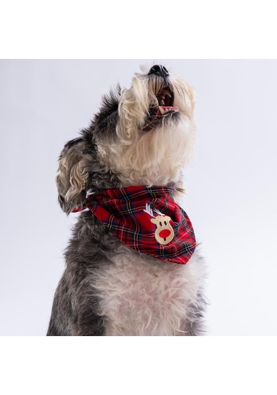 Rudy Bounce Geyik Nakışlı Ekose Desen Kırmızı Kedi Köpek Fuları Pet Bandana Köpek Bandanası
