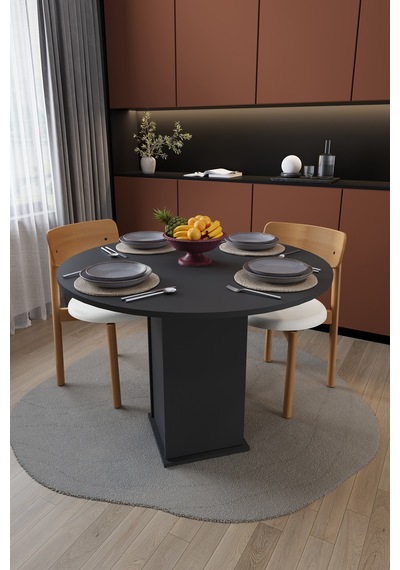 Modern Dolaplı 4 Kişilik Mutfak Yemek Masası %100 Mdf Mutfak Yemek Odası Masası Ym04 Antrasit Modern Dolaplı 4 Kişilik Mutfak Yemek Masası %100 Mdf Mutfak Yemek Odası Masası Ym04 Antrasit