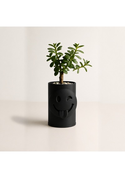 3d Baskı Emoji Planter - Göz Kırpan Yüzlü Sukulent Saksısı-siyah Çok Renkli