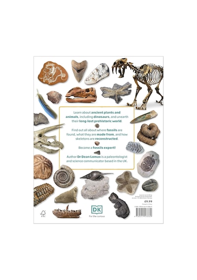 My Book Of Fossils: A Fact-filled Guide To Prehistoric Life