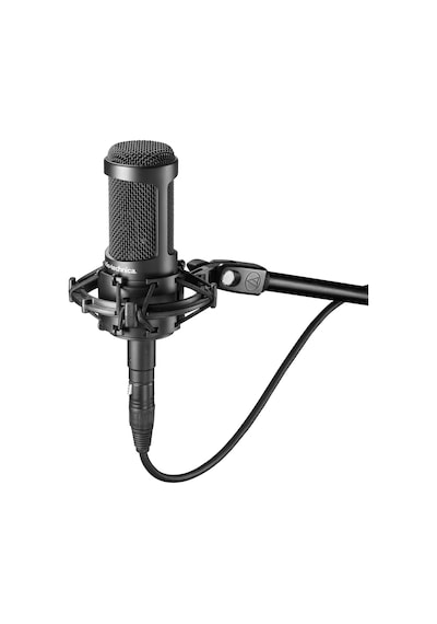 Audio-Technica At2050 Condenser Mikrofon