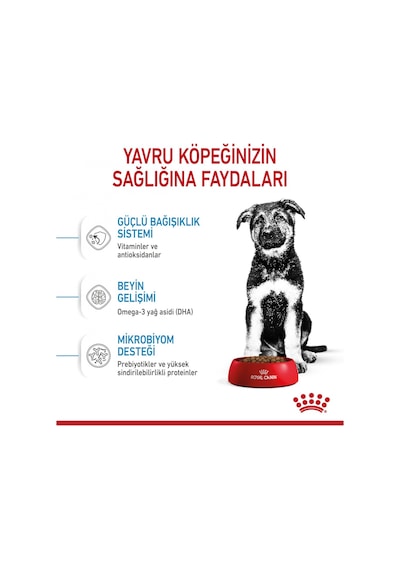 Royal Canin Puppy Maxi Büyük Irk Yavru Köpek Maması 15 KG