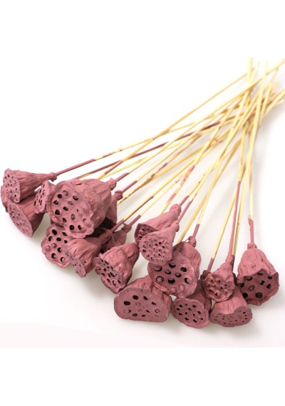 20 Adet Bambu Şiş Saplı Mini Lotus Çiçeği Plant Soft Pembe Gerçek Lotus