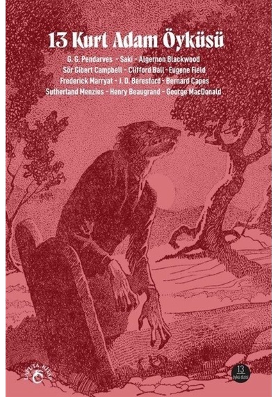 13 Kurt Adam Öyküsü / Kolektif
