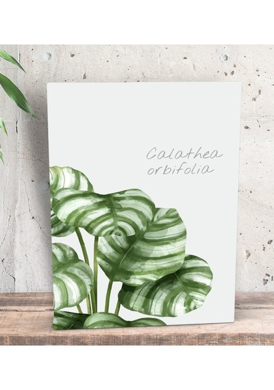 Bk Gift Green Plant Tasarımlı Dekoratif Mini Kanvas Tablo 15X20Cm (506660602)