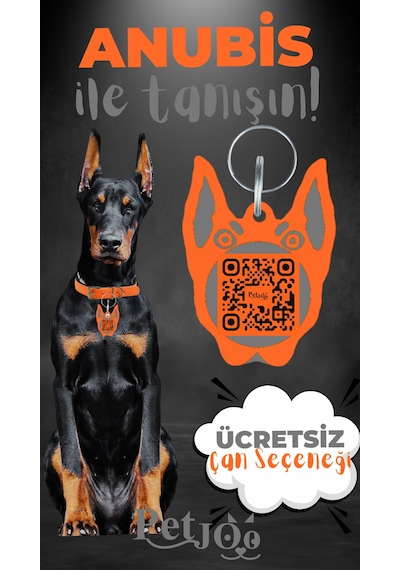Petjoo 30.Anubis Gri-Turuncu Qr'lı Köpek Künyesi