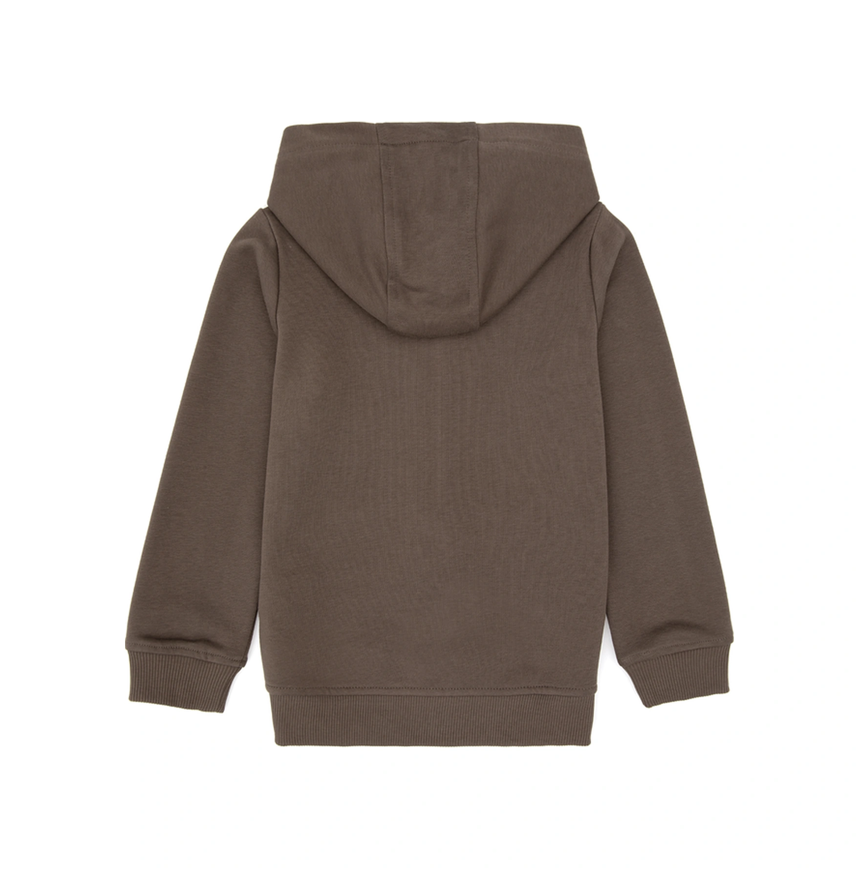 U.S. Polo Assn. Erkek Çocuk Vizon Fermuarlı Kapüşonlu Sweatshirt 50316706-VR052