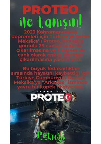 Petjoo 24.Proteo Yeşil-Kırmızı Qr'lı Köpek Künyesi