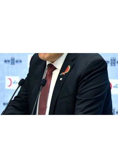 Filistin Sembolü Yarım Karpuz Figürlü Rozet 4,5 Cm X 2 Cm Gri