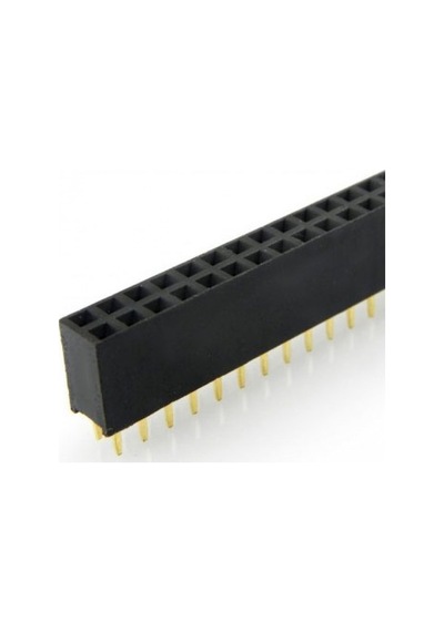 2X40 Header Dişi