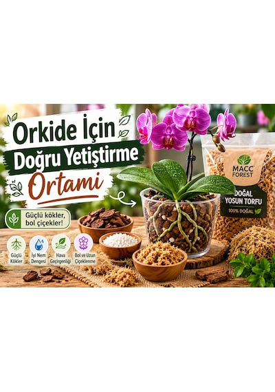 3 Litre Doğal Yosun Torfu, Lif Parça Canlı Spagnum Floor Moss Yosun, Teraryum, Orkide, Toprak Katkısı,dekor