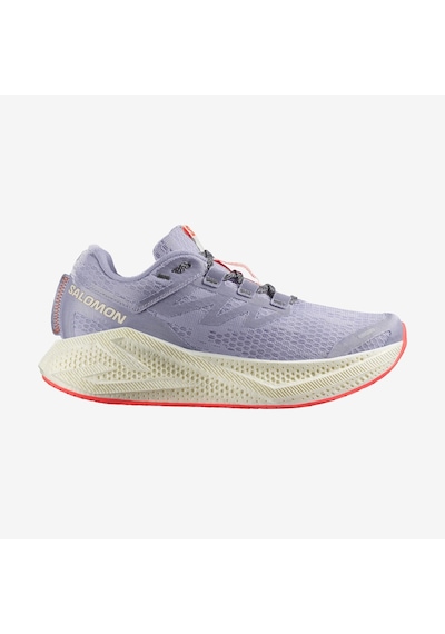 Salomon Salomon Aero Glide 3 Kadın Yol Koşusu Ayakkabısı 5886 Çok Renkli