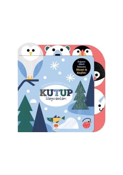 Kutup Hayvanları: Dokun - Hisset - Bul