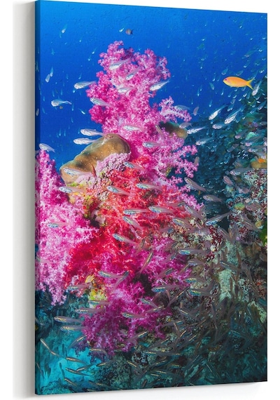 Olla 60x90 Cm 12104d Akvaryum / Balık Görseli Dikey Kanvas Tablo