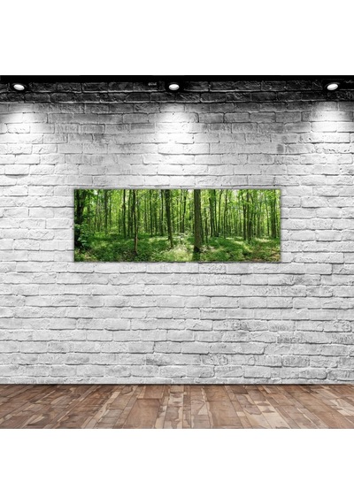Bk Home Orman Manzaralı Panorama Kanvas Tablo 100X35Cm-1