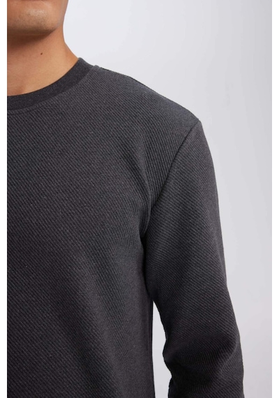 DeFacto Regular Fit Bisiklet Yaka Jakarlı Sweatshirt D5394AX24AUAR84 DeFacto Regular Fit Bisiklet Yaka Jakarlı Sweatshirt D5394AX24AUAR84