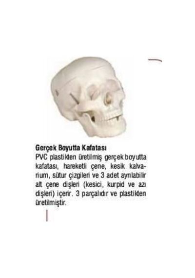 Kuru Kafa Maketi