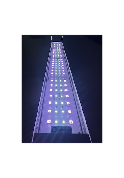 C Serisi Rgb-w Kumandalı - C-30 Siyah