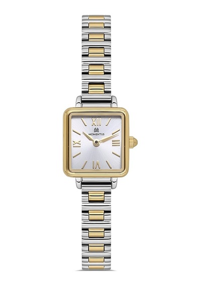 Momentus Women's Classy Cw312t-02sg Gri