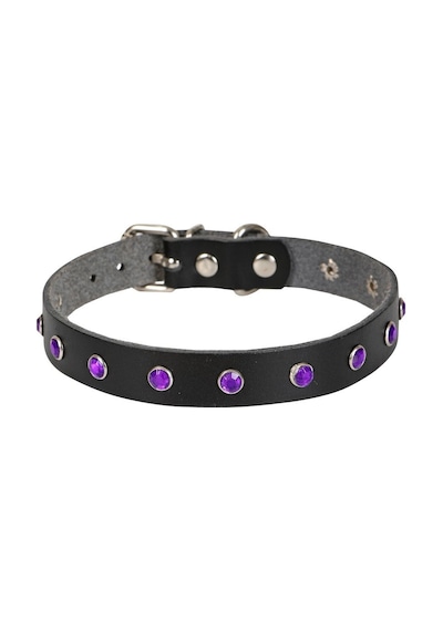Cattie Taşlı Deri Kedi Boyun Tasması Xl 1.5x28-32CM Siyah