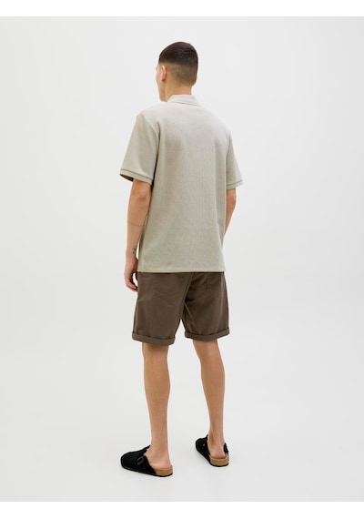 Jack & Jones Jjeaustın Zıp Polo Ss Noos Moonbeam Moonbeam Çok Renkli