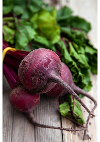 Yakut Kırmızı Pancar Tohumu Atalık Beet Ruby Queen Beta Vulgaris