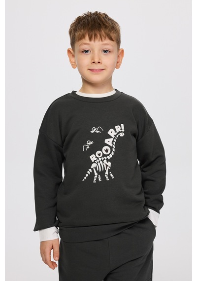 Panço Erkek Çocuk Dinozor Baskı Antrasit Sweatshirt Gri