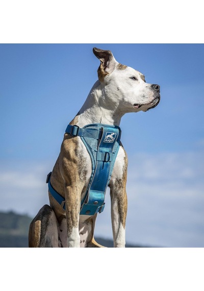 Köpek Koşum Takımı Evcil Hayvan Yürüyüş Koşumu No Pull Harness Ön Klips Fonksiyonu Antrenman İçin Dahil