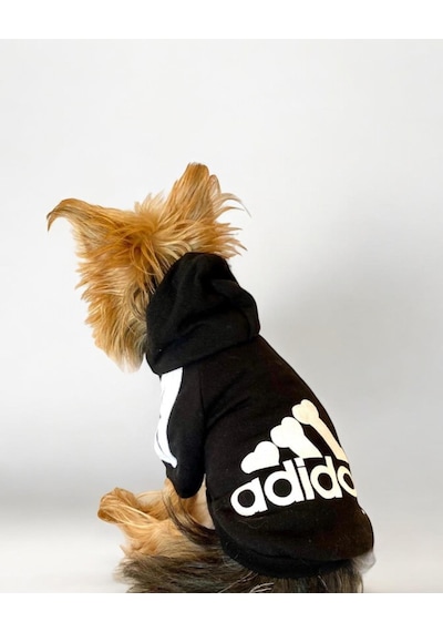 Black Adidog Kapşonlu Sweatshirt Köpek Kazağı