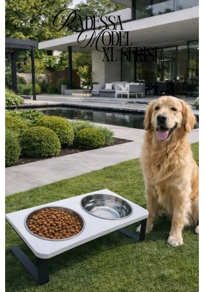 Reyo Ok-ay Store Radessa Xl Yüksek Standlı Çift Hazneli Mama Ve Su Kabı, Büyük Ve Orta Boy Köpek Ve Kedi Su Kabı Paslanmaz Çelik Beyaz