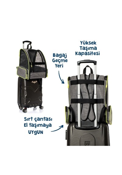 Missidea Brave Paws Piramit Model Fileli Kedi Ve Köpek Taşıma Çantası Gri