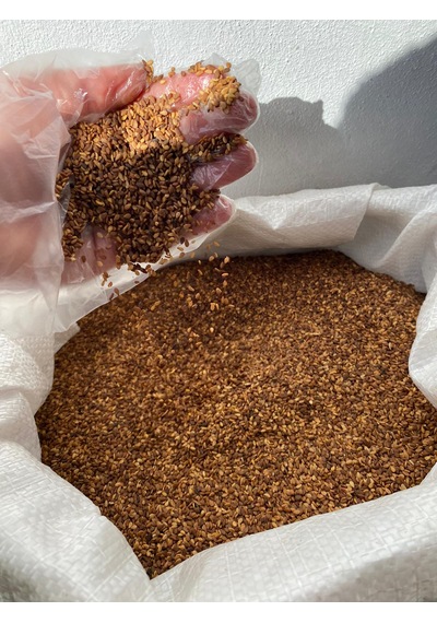 Erenzadegiler Yerli Kavrulmamış Esmer Susam 2 Kg Doğal, Katkısız, Çiğ Susam