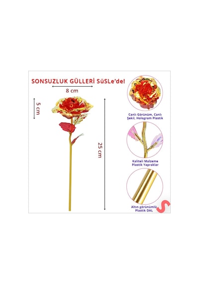 Sonsuzluk Gülü, 25 Cm X 8cm - Kırmızı