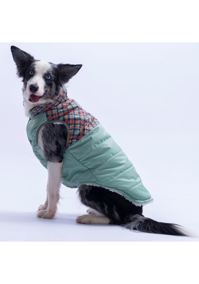 Yeşil Plaid Ekose Desen Yelek Büyük Irk Köpek Yeleği Köpek Kıyafeti Köpek Yağmurluk