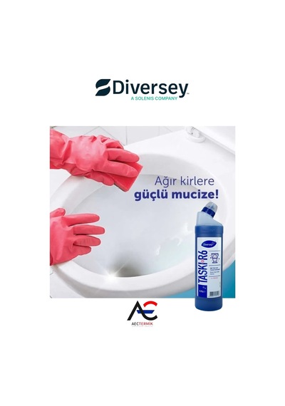 Diversey Tuvalet Temizleyici Taskı R6 Wc 750ml 6 Adet + Hassas Temizlik Süngeri 1 Adet 160gr