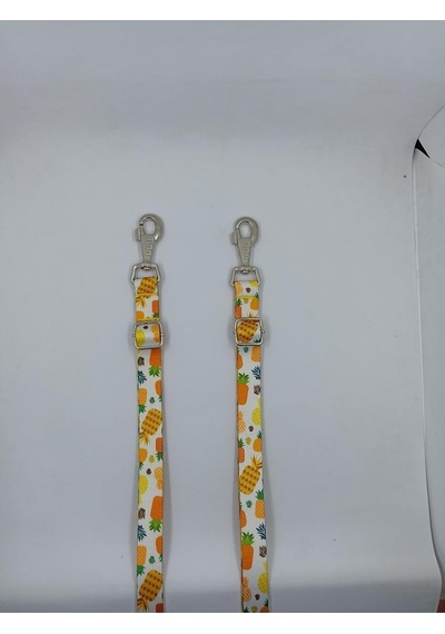 Tr Ananas Desenli Gezdirme Kayışı, Köpek Tasması, 120cm X 2cm, Sarı Genel