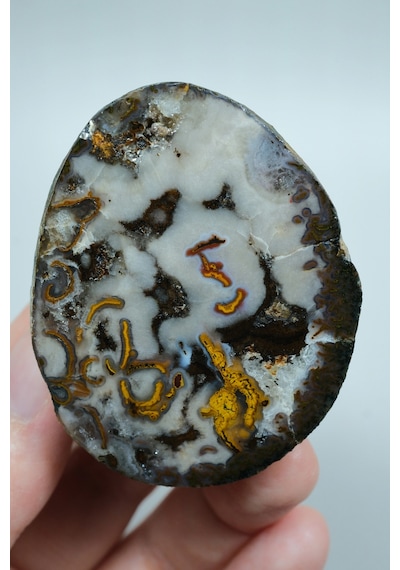 Plume Black Sea Agate Beyaz, Derin Kahverengi Ve Altın Turuncu Agate
