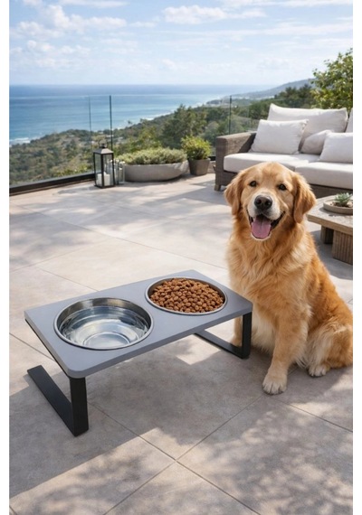 Reyo Ok-ay Store Radessa Xl Yüksek Standlı Çift Hazneli Mama Ve Su Kabı, Büyük Ve Orta Boy Köpek Ve Kedi Su Kabı Paslanmaz Çelik Gri