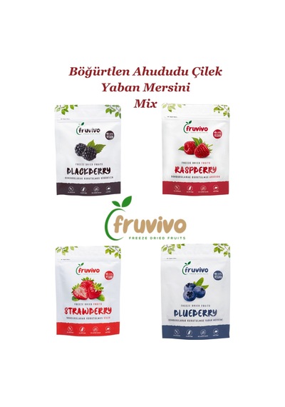 Fruvivo 4'lü Freeze Dry Paket - Böğürtlen + Ahududu + Yaban Mersini + Çilek Orman Meyveleri - Dondurularak Kurutulmuş Meyve Cipsi Şeker İlavesiz %100 Doğal Vegan 75 G