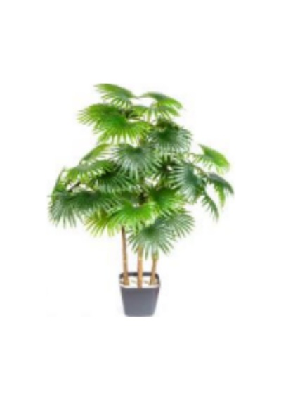 Yapay Alocasia - Fil Kulağı Ağacı Gerçek Dokulu 16 Yaprak 150 Cm. Çok Renkli