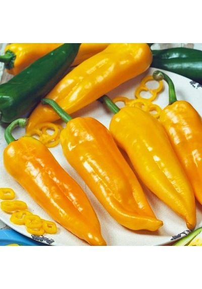 Geleneksel Corno Di Toro Giallo Sarı İtalyan Kapya Biber Tohumu 10 Tohum