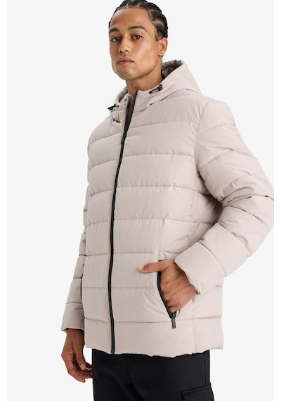 Defacto Su İtici Slim Fit Dar Kesim Astarlı Kapüşonlu Fermuarlı Cepli Dolgulu Mont R0216az25aubg766 Bej-bg766