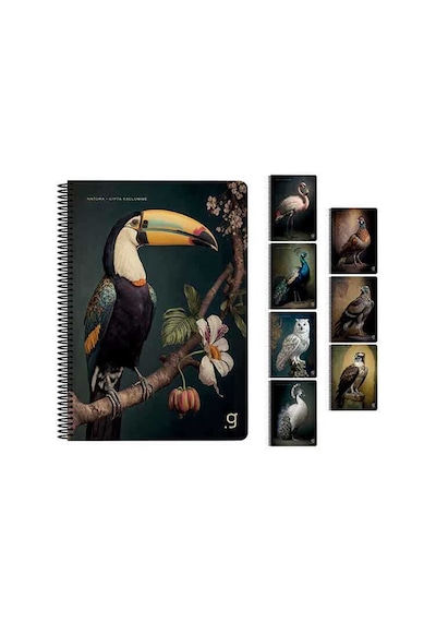 Gıpta A4 80 Yaprak Çizgili Natura Spiralli Karton Kapak Defter 7057000 Standart