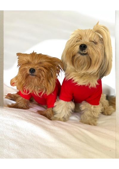 Kemique Uno Red Köpek Tişörtü