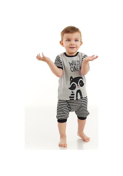 Denokids Rakun Erkek Bebek T-shirt Kısa Pantolon Takım Gri