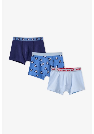 Penti Erkek Çocuk Mavi Paws For Joy Pamuklu 3lü Boxer