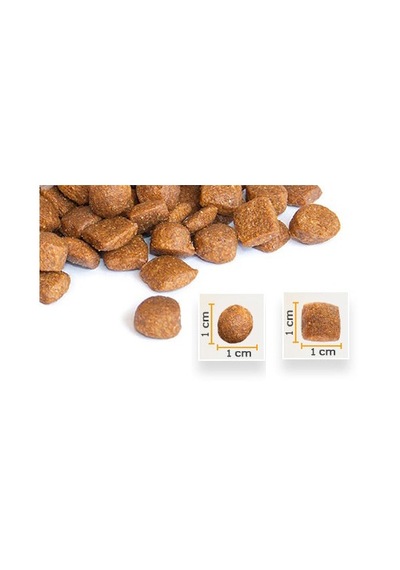 Bonacibo Tavuklu ve Hamsili Pirinçli Yetişkin Kedi Maması 2 x 2 KG