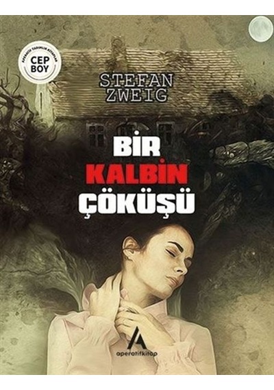Bir Kalbin Çöküşü - Cep Boy