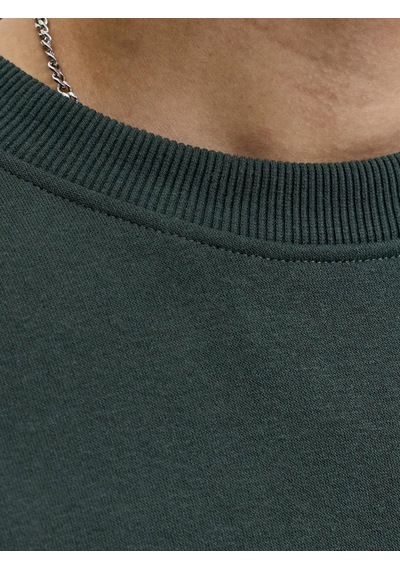 Jack&jones Erkek Göğüs Baskılı Bisiklet Yaka Uzun Kollu Sweatshirt - Aero - 12298492 Scarab-small Print-1274740 Jack&jones Erkek Göğüs Baskılı Bisiklet Yaka Uzun Kollu Sweatshirt - Aero - 12298492 Scarab-small Print-1274740