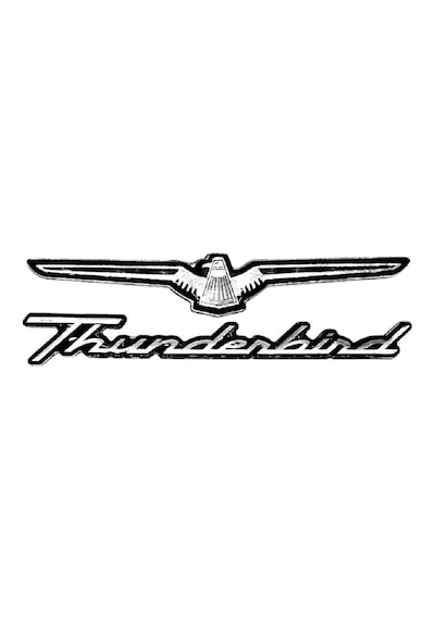 Etiketçilere Özel Thunderbird Kuş Damla Sticker Yapışkanlı Takım